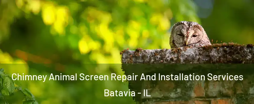  Chimney Animal Screen Repair And Installation Services Batavia - IL