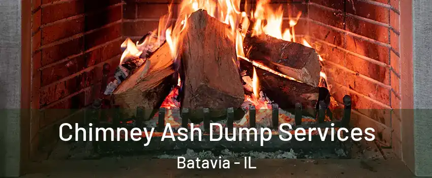 Chimney Ash Dump Services Batavia - IL