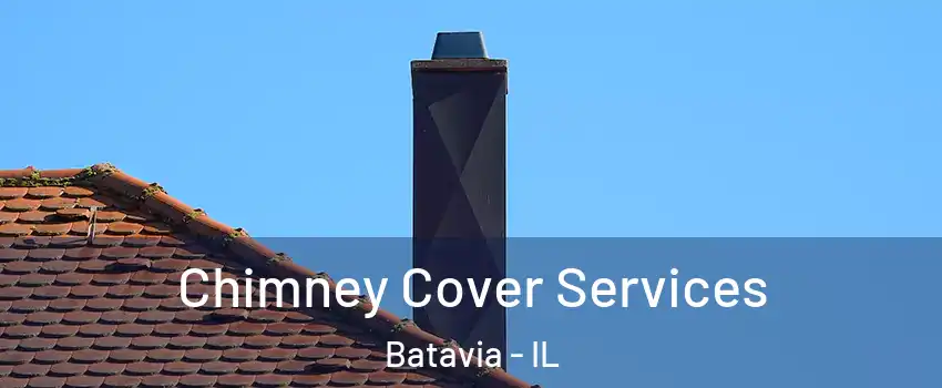  Chimney Cover Services Batavia - IL