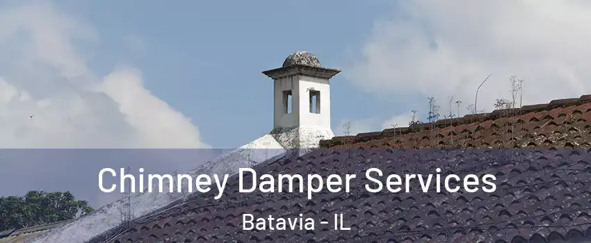  Chimney Damper Services Batavia - IL