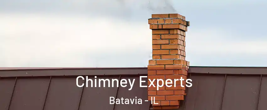  Chimney Experts Batavia - IL