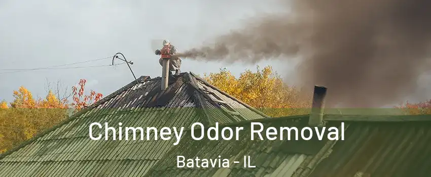  Chimney Odor Removal Batavia - IL