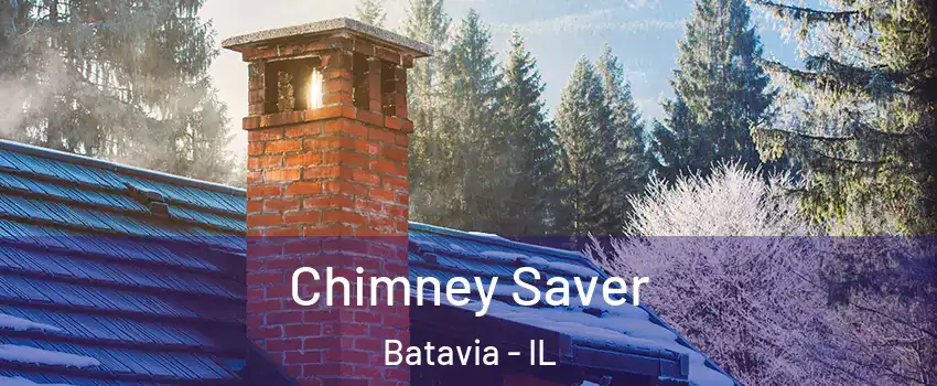  Chimney Saver Batavia - IL