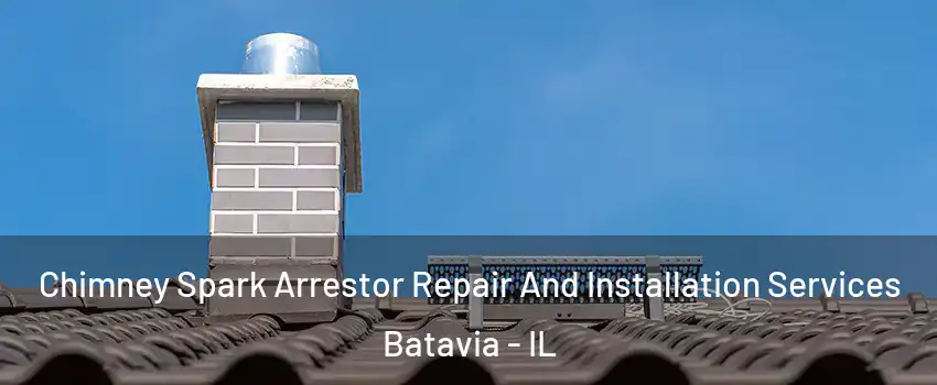  Chimney Spark Arrestor Repair And Installation Services Batavia - IL