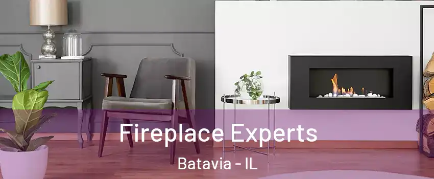  Fireplace Experts Batavia - IL