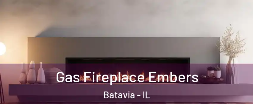  Gas Fireplace Embers Batavia - IL