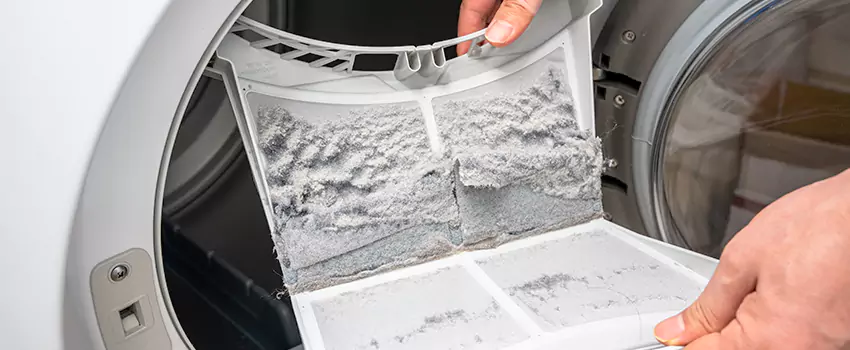 Best Dryer Lint Removal Company in Batavia, Illinois