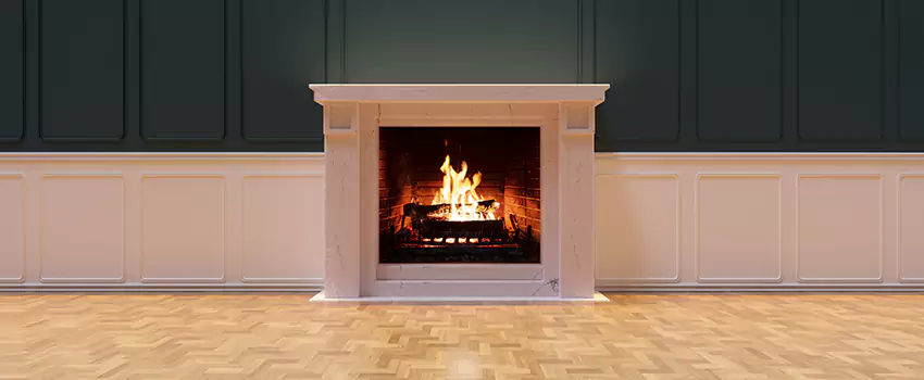 Napoleon Electric Fireplaces Inspection Service in Batavia, Illinois