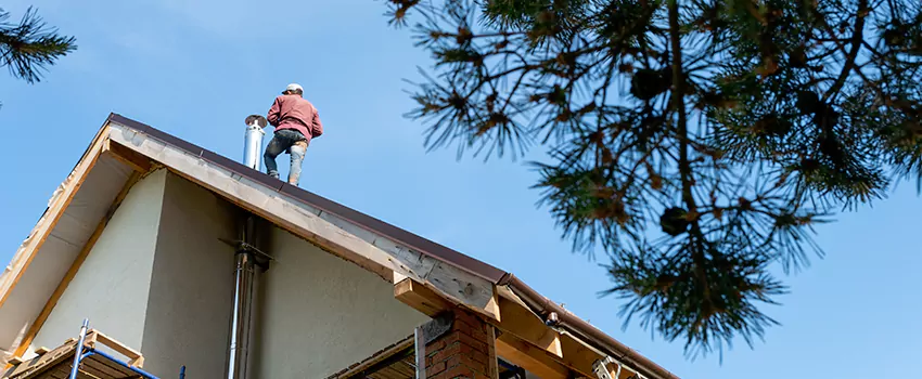 Birds Removal Contractors from Chimney in Batavia, IL