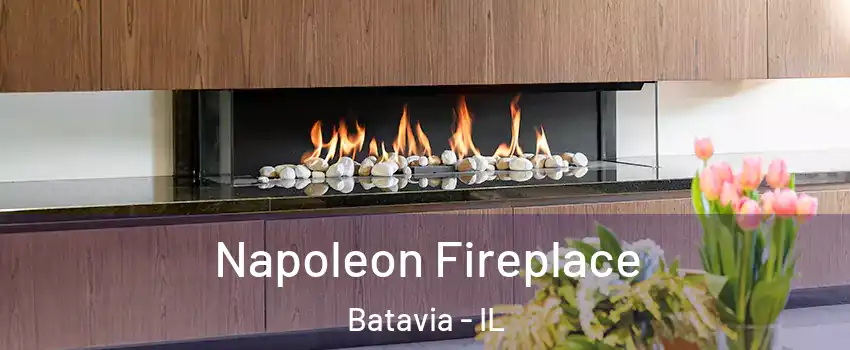  Napoleon Fireplace Batavia - IL