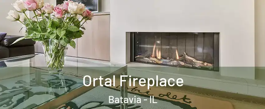  Ortal Fireplace Batavia - IL